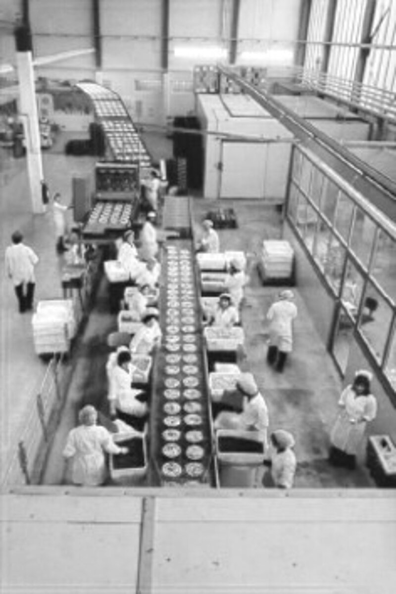 Schwarzweißbild von oben aus einer Produktionshalle. Mitarbeitende am mit Pizzen befüllten Fließband. 