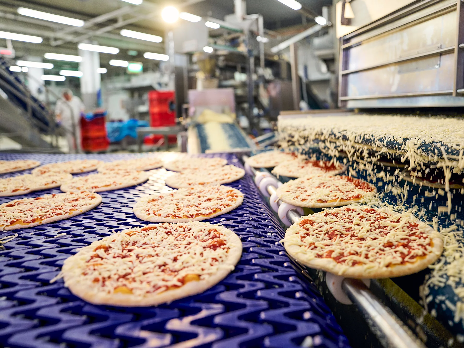 Pizzen in der Produktion auf dem Fließband.